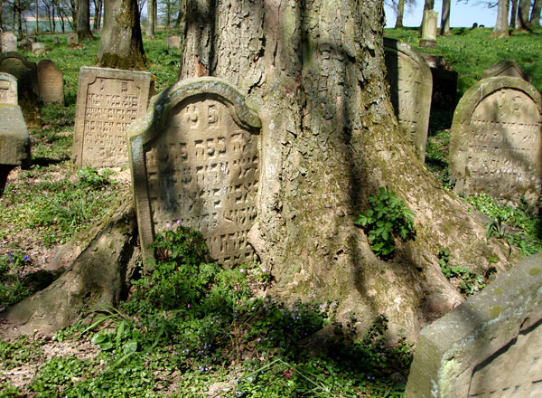 Jüdische Friedhof 